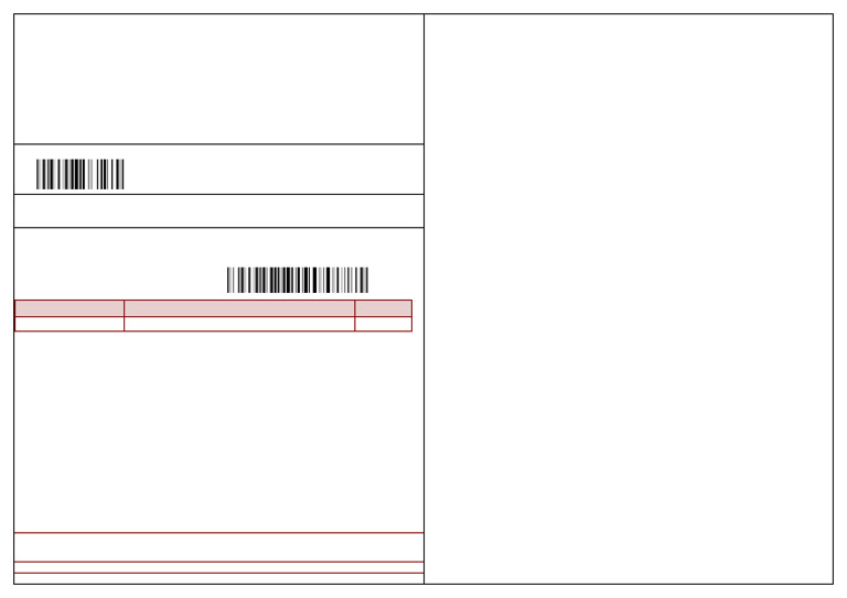 Shipping Label 866544059 SRSP1995878507 PDF | PDF