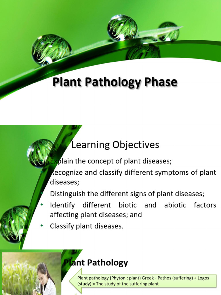 Understanding Plant Diseases and Pathology | PDF | Fungus | Bacteria