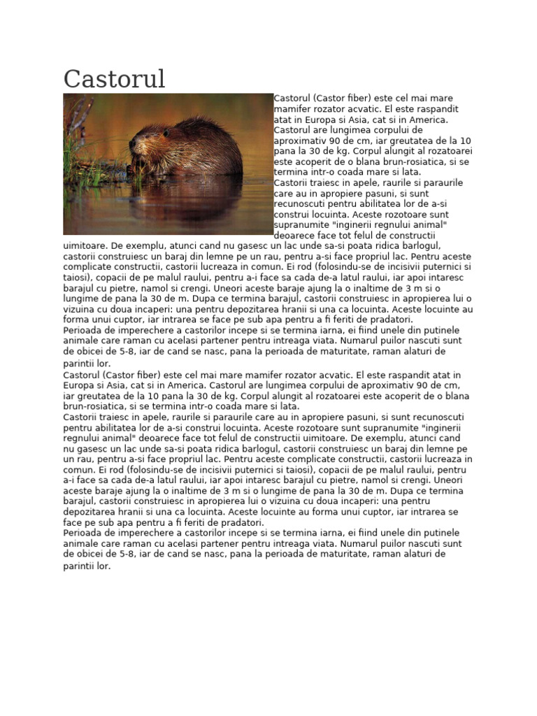 Despre Castori | PDF