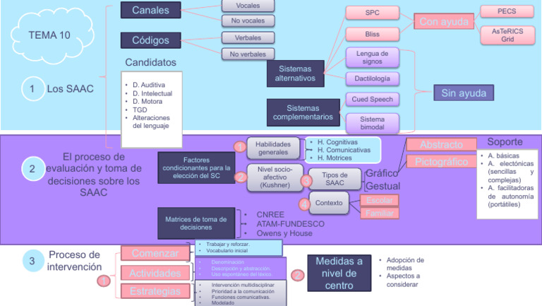 Evaluación y Tipos de SAAC | PDF | Aprendizaje | Cognición