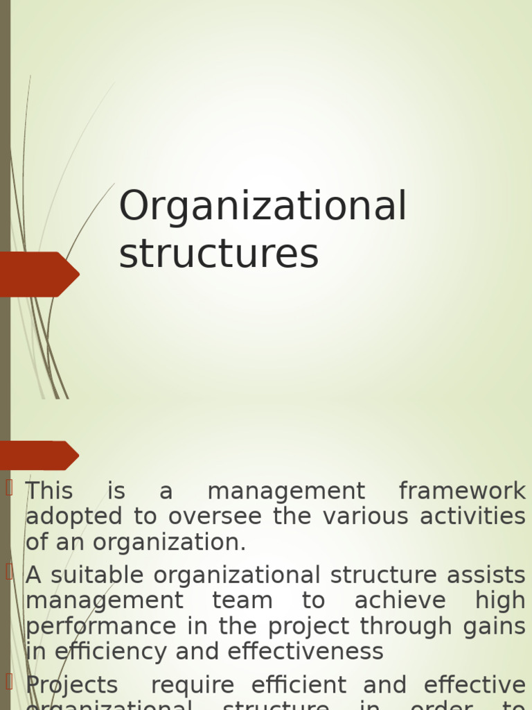 Effective Organizational Structures for Projects | PDF | Organizational ...