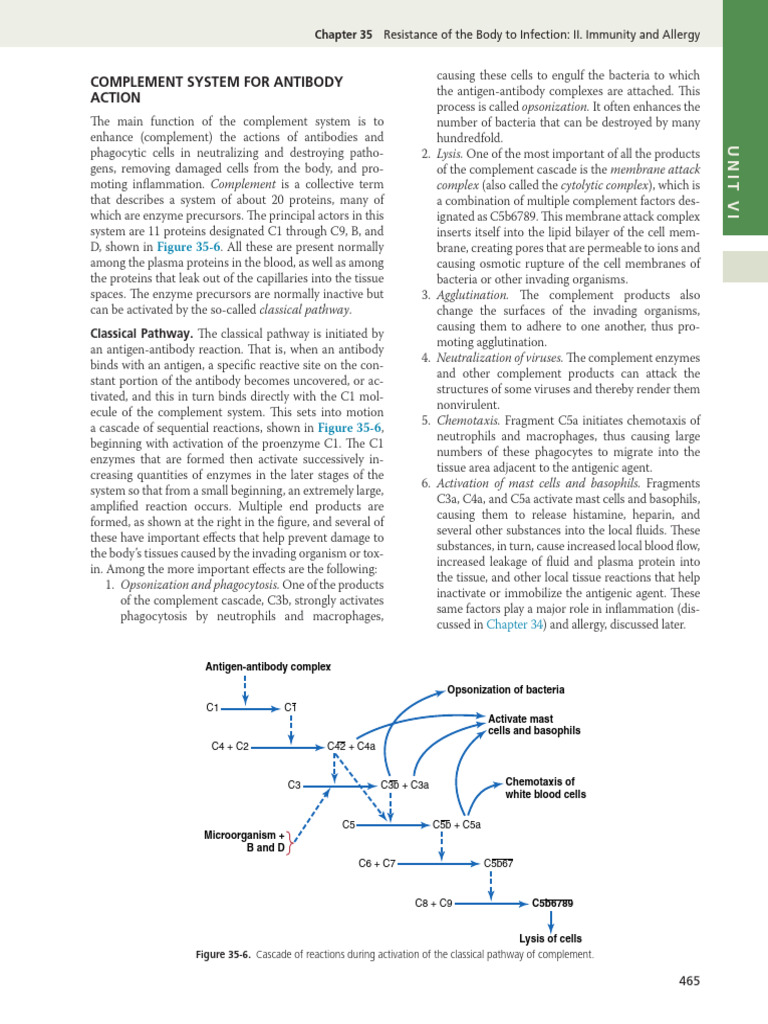 Complement System and T-Cell Immunity | PDF | T Cell | Complement System