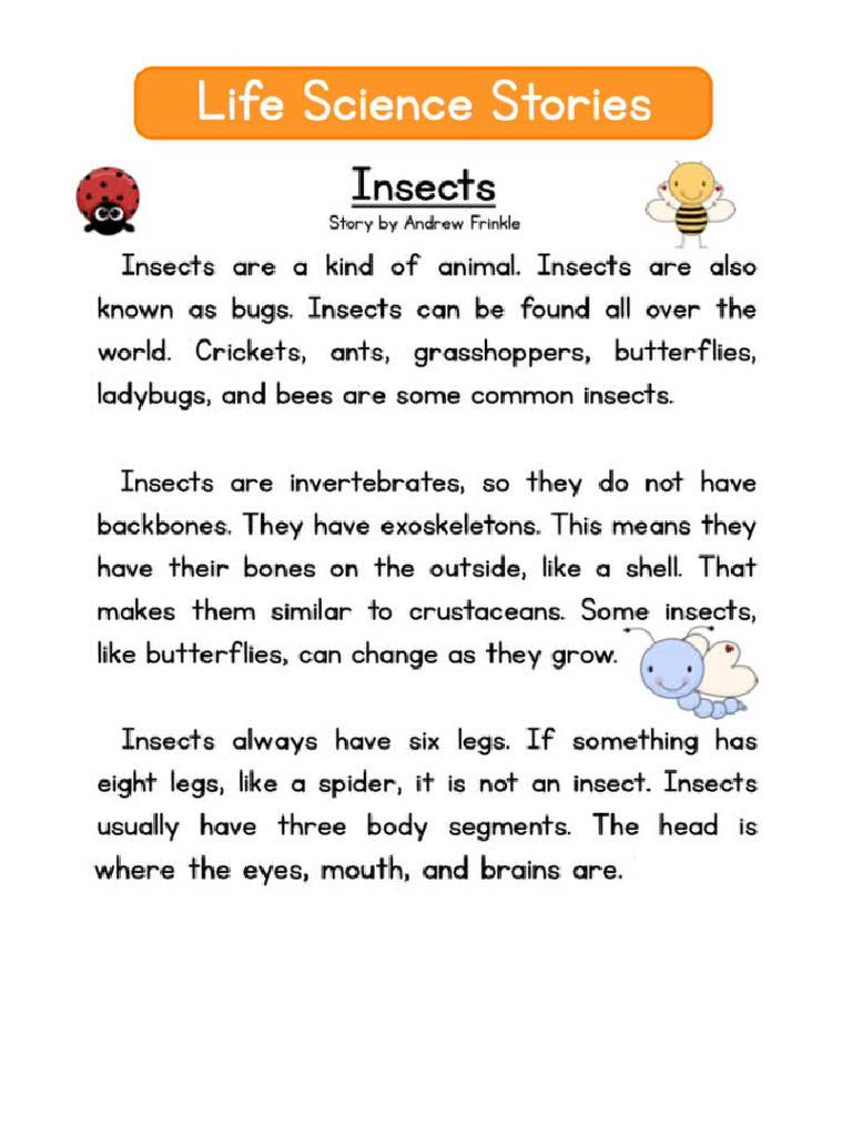 Reading Comprehension - Insects | PDF
