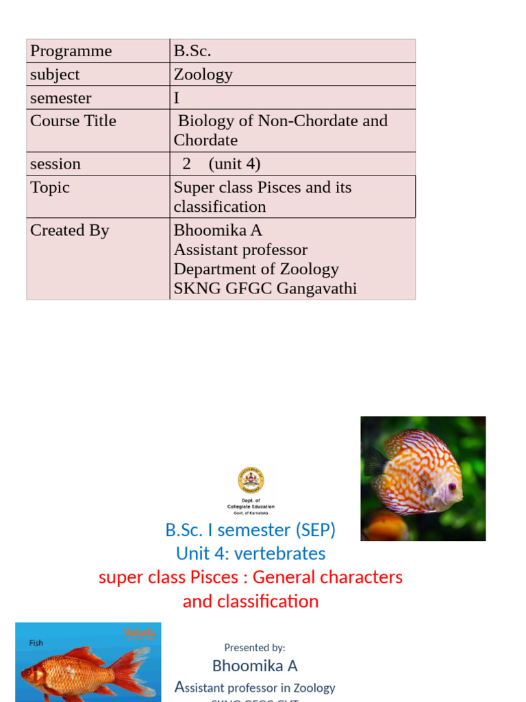 Classification of Superclass Pisces | PDF