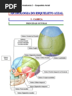 Esqueleto Axial - Artrologia