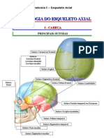 Esqueleto Axial - Artrologia