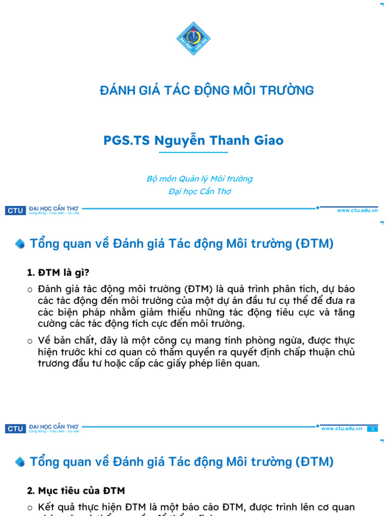 2. DTM Quy Dinh Cua VN Ve DTM | PDF