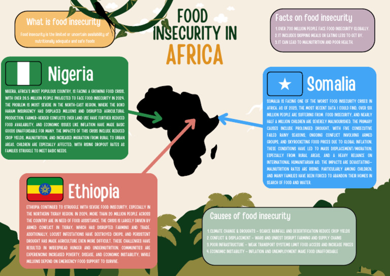 Food Insecurity Crisis in Africa 2023 | PDF | Food Security | Malnutrition