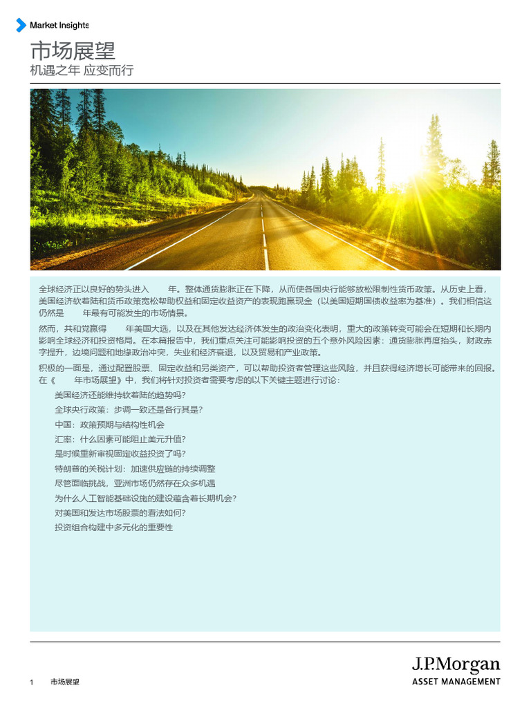 摩根资管2025年市场展望| PDF