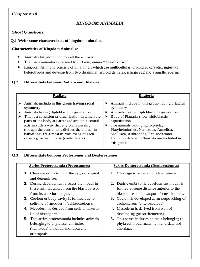 Characteristics of Kingdom Animalia | PDF | Mollusca | Sponge