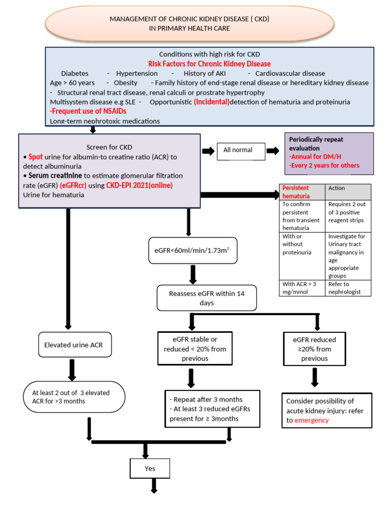 Chronic Kidney Disease Management Guide | PDF | Chronic Kidney Disease ...