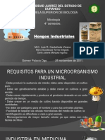 Hongos Industriales