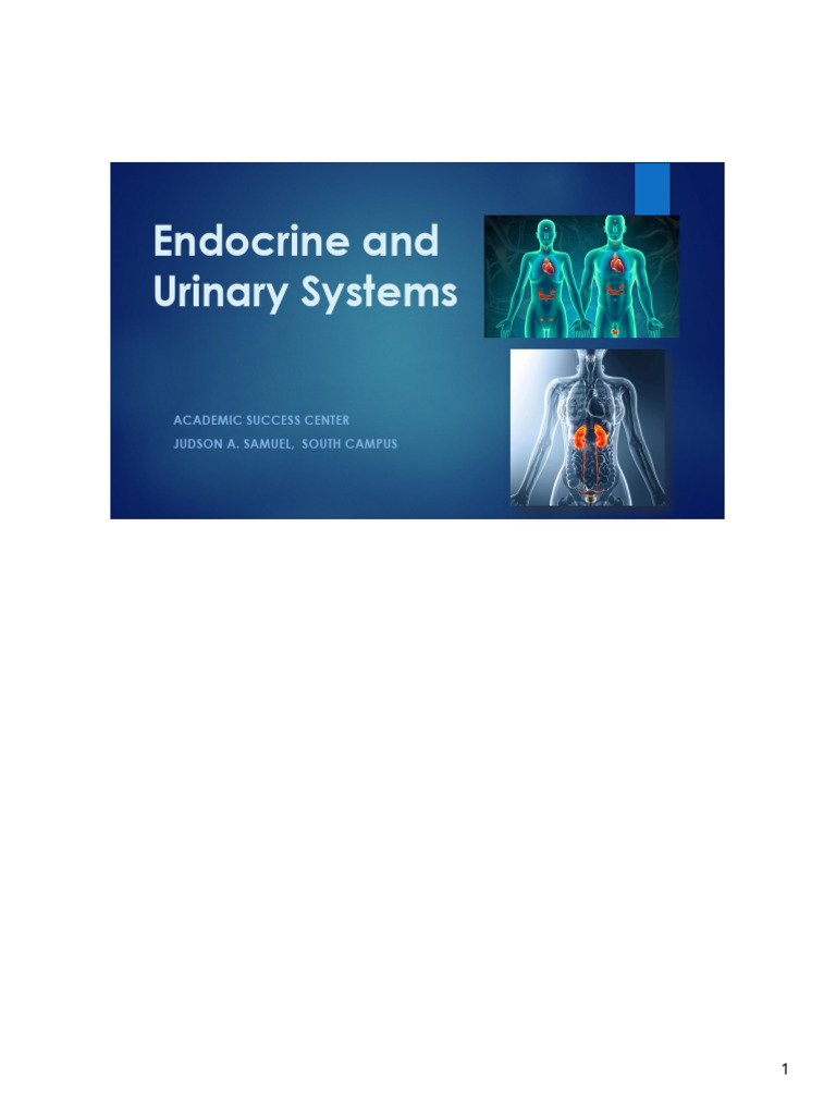Endocrine System Overview and Functions | PDF | Adrenal Gland ...
