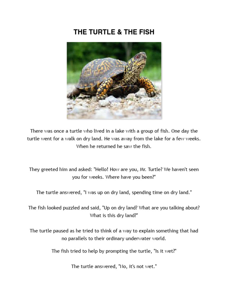 Turtle & the Fish1 | PDF