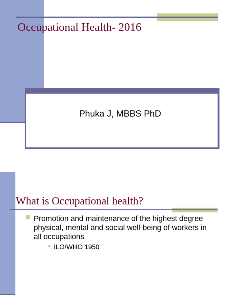 Understanding Occupational Health Services | PDF | Occupational Safety ...