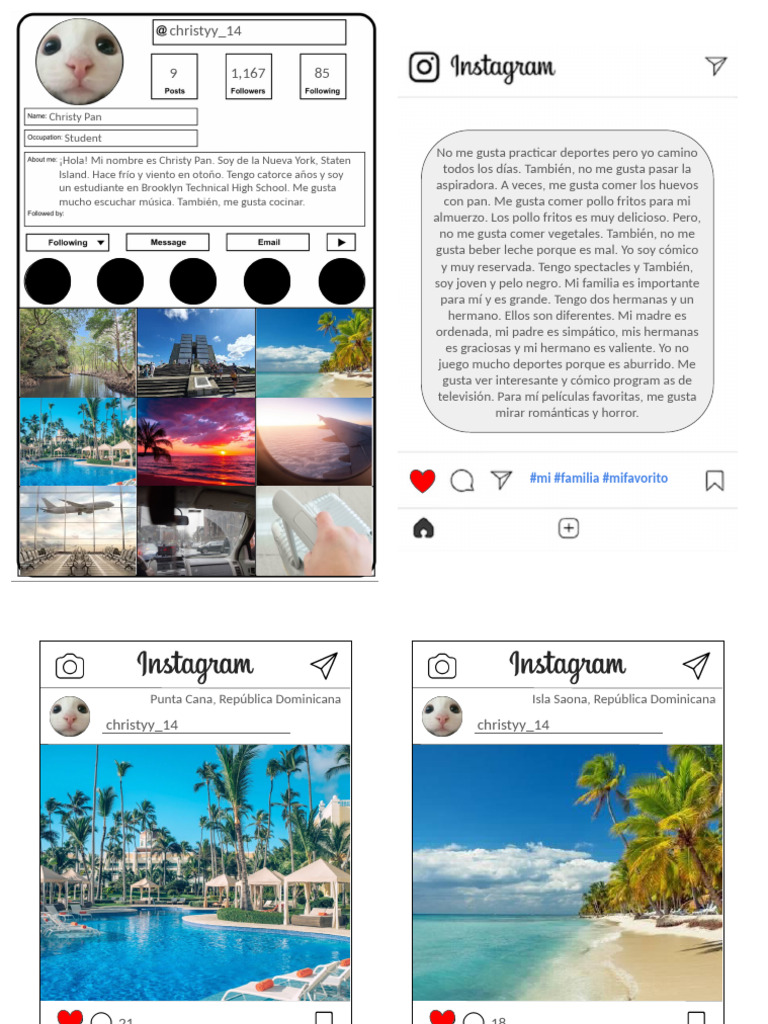 Copy of Instagram Template Format | PDF