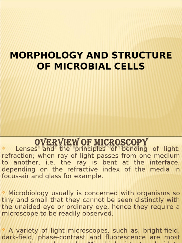 Microbial Cell Morphology and Microscopy | PDF | Cell (Biology) | Bacteria