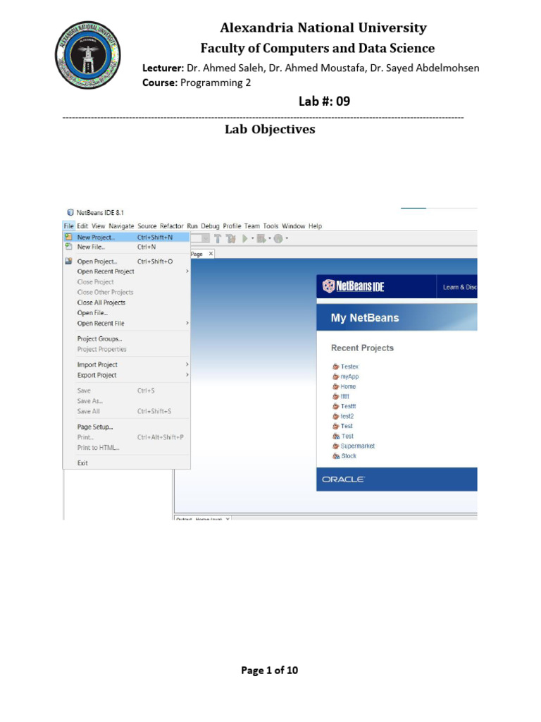 Programming 2 Lab: GUI Projects Guide | PDF | Integer (Computer Science ...