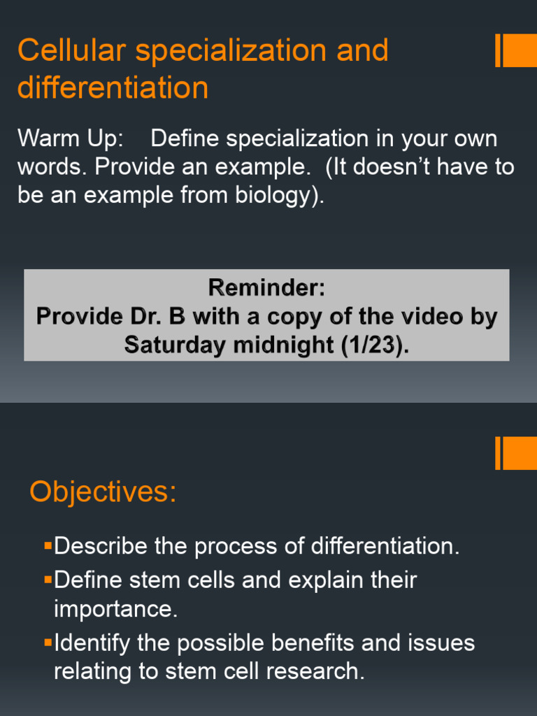 Understanding Cellular Differentiation | PDF
