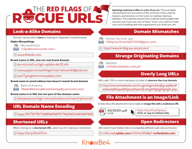 Red Flags of Rogue URLs | PDF | Phishing | Security