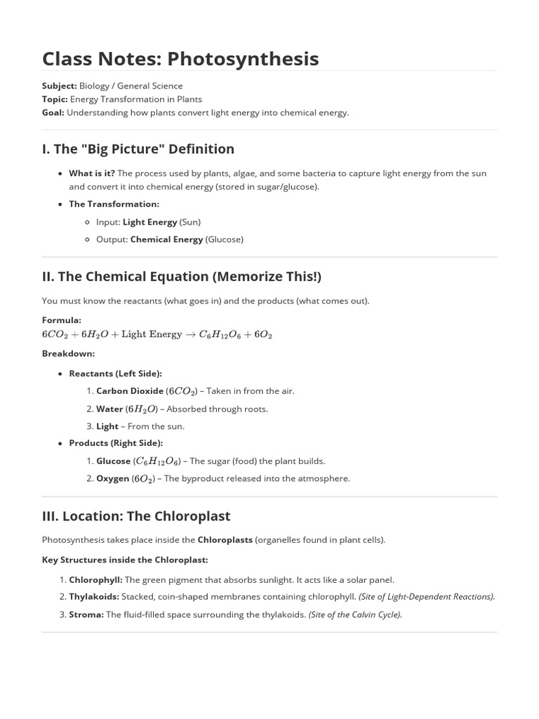 Photosynthesis Process Explained | PDF | Photosynthesis | Chloroplast
