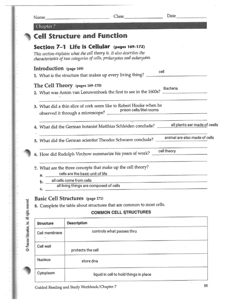 Cell Structure and Function Overview | PDF | Cell (Biology ...
