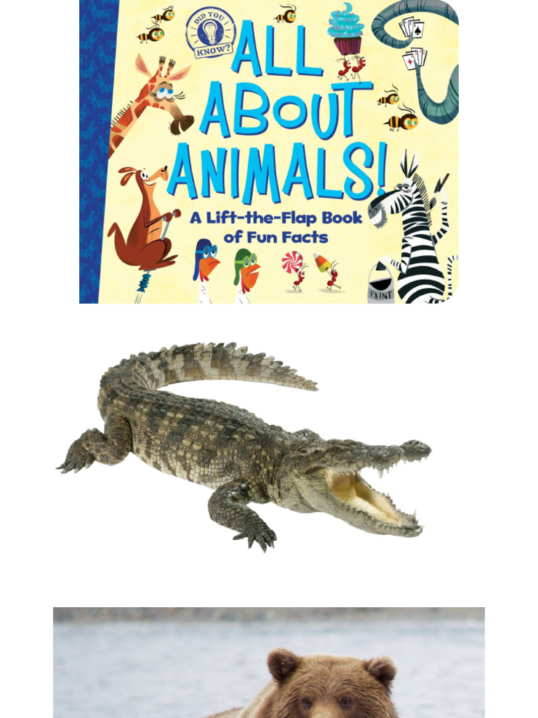 Animals | PDF