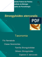 16 Aula Strongyloides Stercoralis