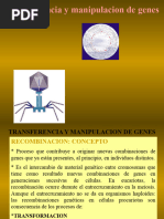 Mecanismos de Transferencia Genética | PDF | Transfección ...