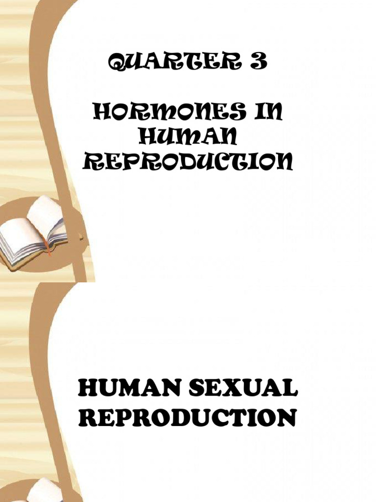 Hormones in Male Reproduction System | PDF | Luteinizing Hormone | Testicle