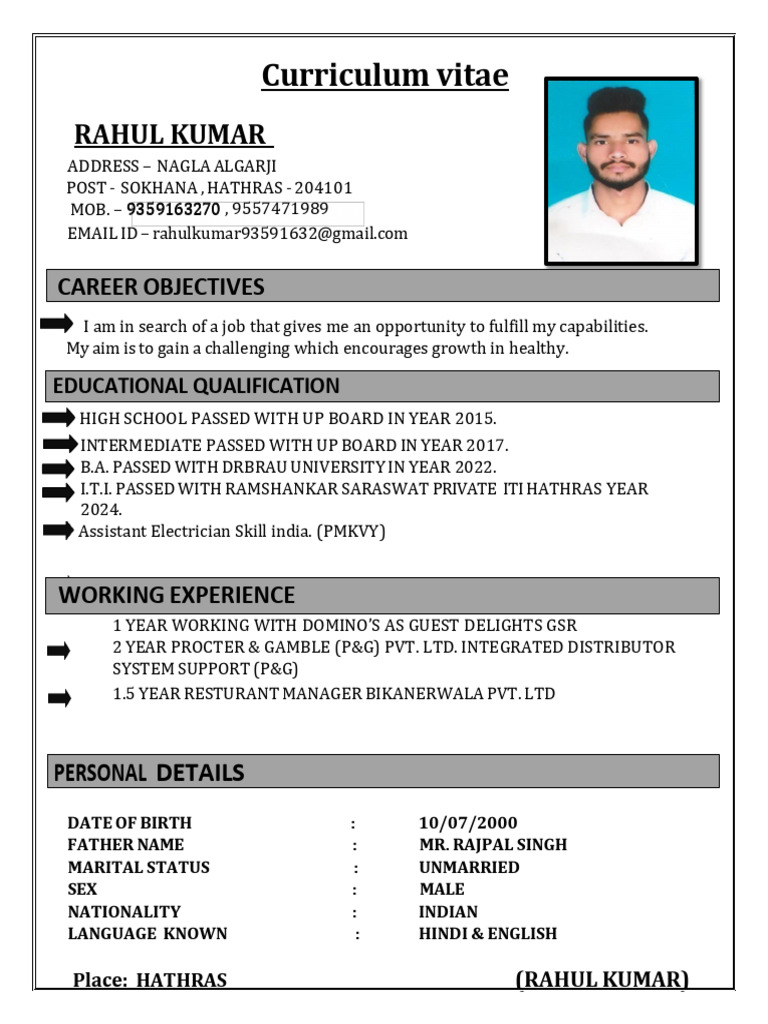 Rahul Kumar's Job-Seeking CV | PDF