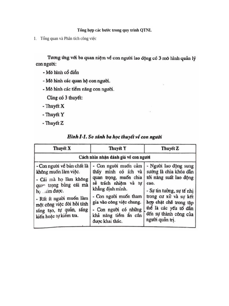 T NG H P Các Bư C Trong Quy Trình QTNL | PDF