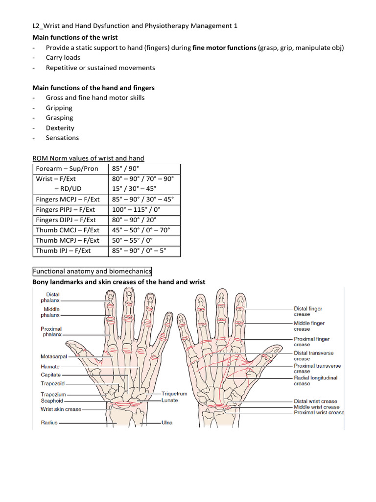 Wrist and Hand Dysfunction Management | PDF | Hand | Carpal Tunnel Syndrome