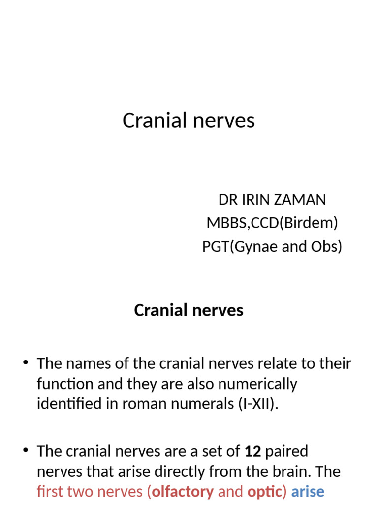Overview of Cranial Nerves Functions | PDF | Brainstem | Human Anatomy
