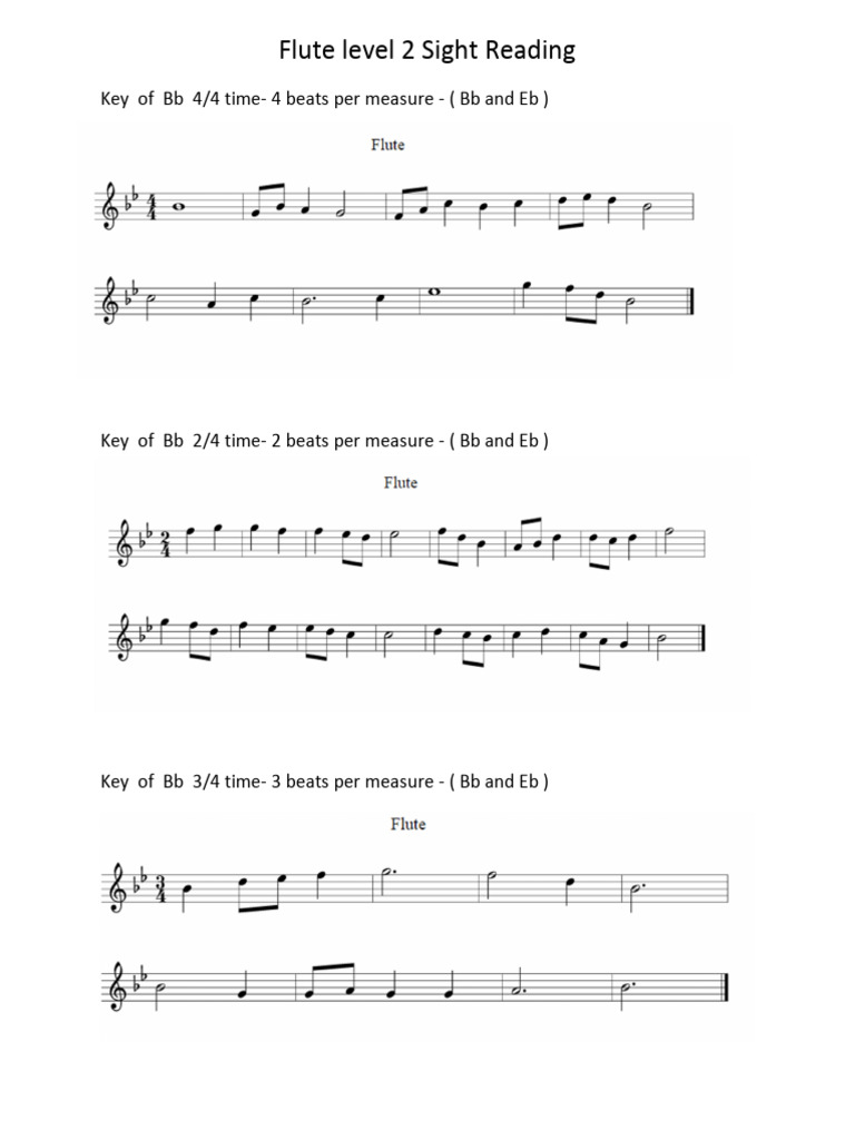 Flute Level 2 Sight Reading Guide | PDF
