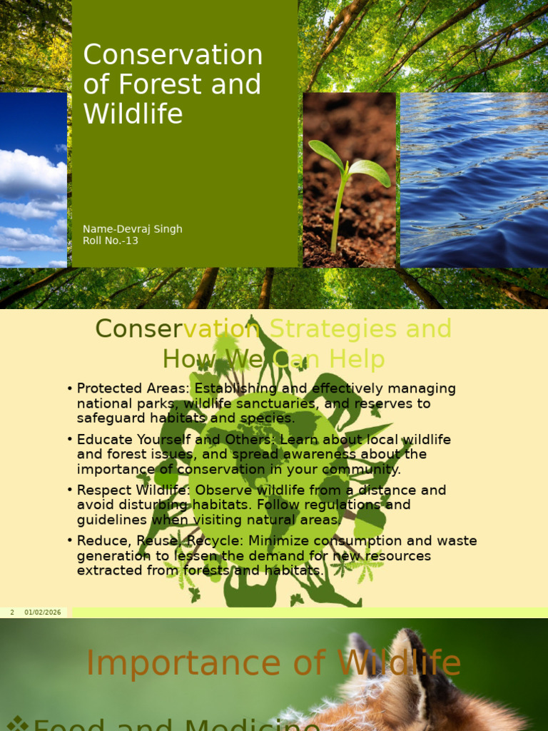 Forest and Wildlife Conservation Guide | PDF | Forests | Wildlife