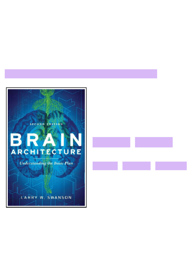 Brain Architecture Understanding The Basic Plan 2nd Edition Larry W ...