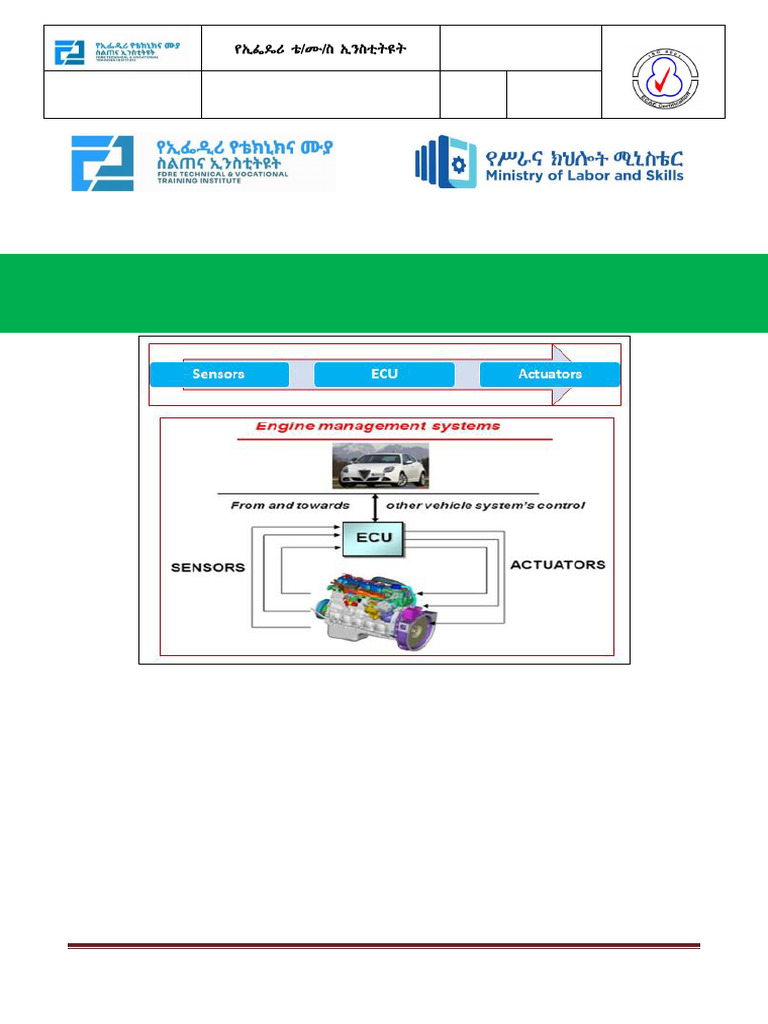 Electronic-Engine Management System | PDF | Throttle | Fuel Injection