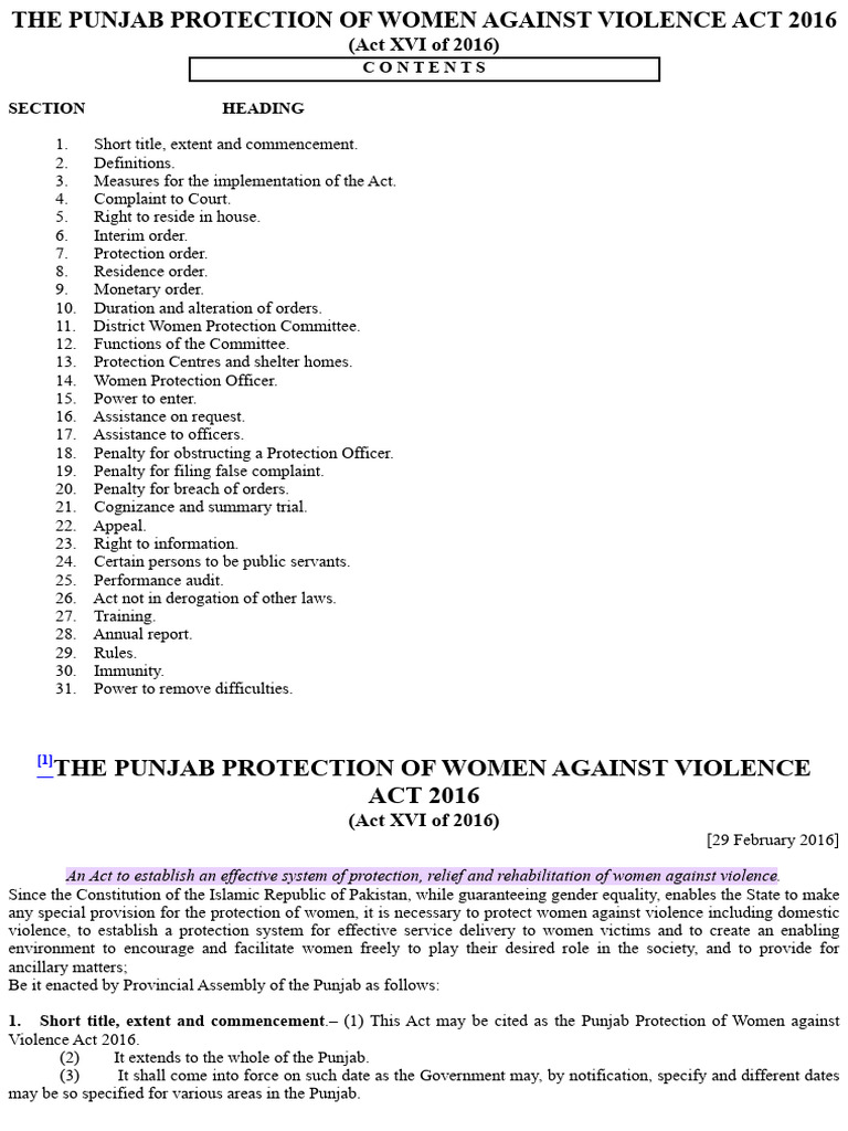 The Punjab Protection of Women Against Violence Act 2016 | PDF ...