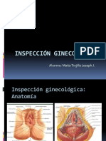 inspeccion ginecologia