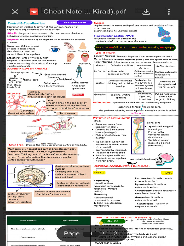Nervous System and Coordination Overview | PDF | Stimulus (Physiology ...