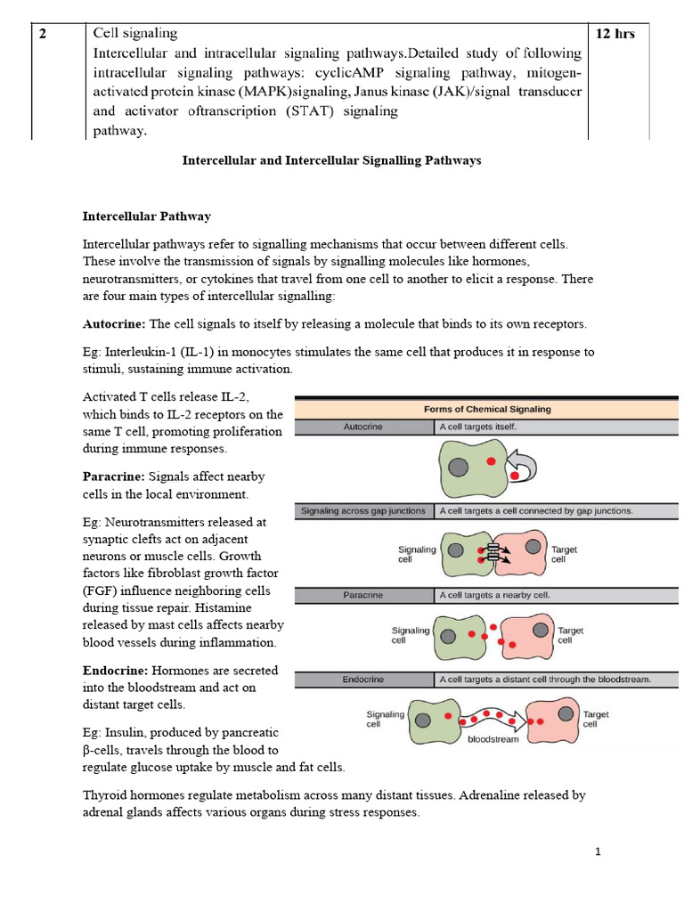 Intercellular Signaling Pathways Explained | PDF | Cell Signaling | Kinase