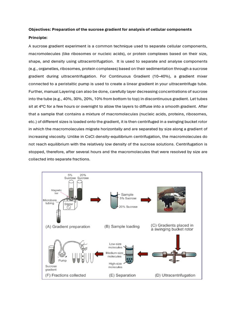 Sucrose Gradient Ultracentrifugation Guide | PDF | Centrifugation | Biology