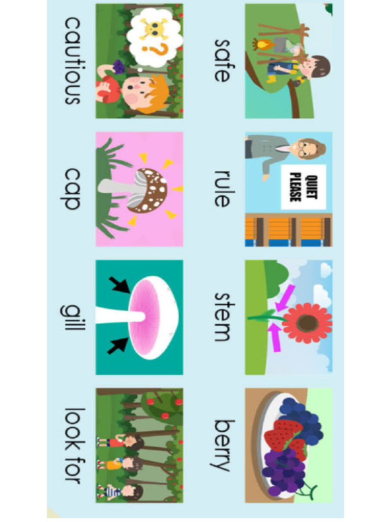 Lesson Aids | PDF