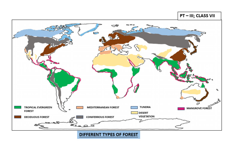 Forest Map | PDF