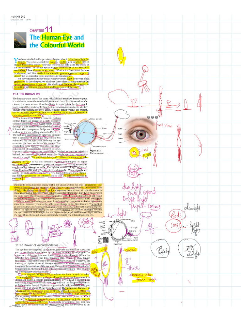 Human Eye 1 | PDF