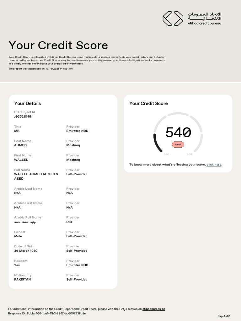 Understanding Your Credit Score | PDF | Credit Score | Credit History