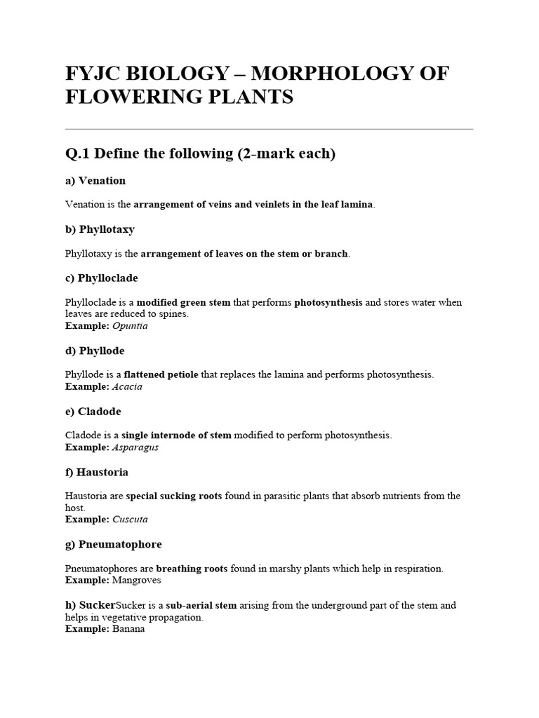 Modificatio of Root Leaf and Stem | PDF | Leaf | Root