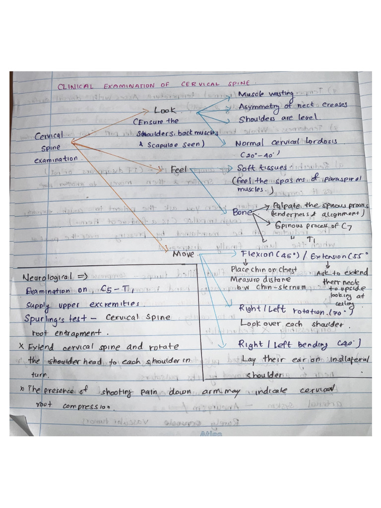 Examination Spine, Peripheral Nerves Short Mind Map | PDF