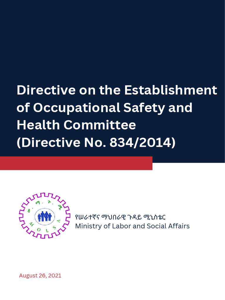 Occupational Safety Committee Directive | PDF | Occupational Safety And ...
